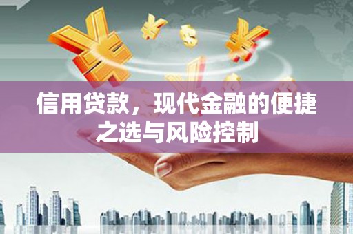 三穗信用贷款，现代金融的便捷之选与风险控制
