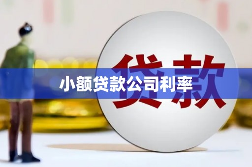 三穗小额贷款公司利率