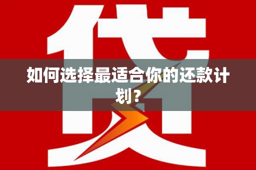 三穗如何选择最适合你的还款计划？