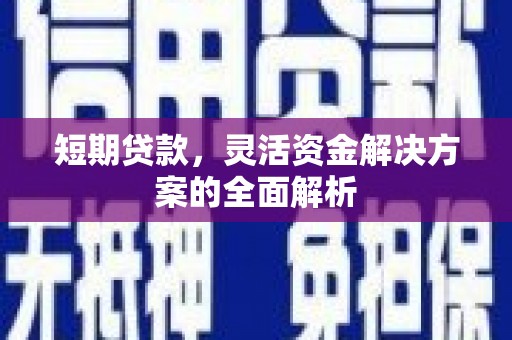 三穗短期贷款，灵活资金解决方案的全面解析