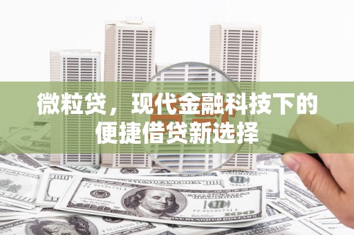 三穗微粒贷，现代金融科技下的便捷借贷新选择