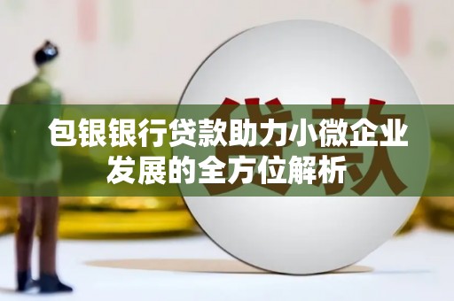 三穗包银银行贷款助力小微企业发展的全方位解析