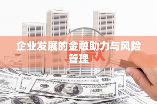 三穗企业发展的金融助力与风险管理