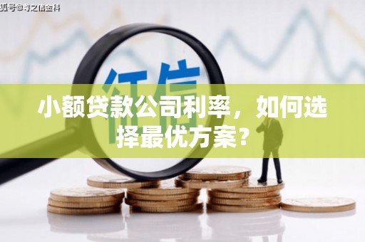 三穗小额贷款公司利率，如何选择最优方案？