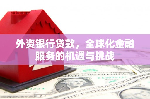 三穗外资银行贷款，全球化金融服务的机遇与挑战