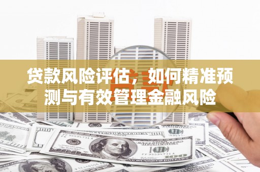 三穗贷款风险评估，如何精准预测与有效管理金融风险