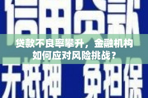 三穗贷款不良率攀升，金融机构如何应对风险挑战？