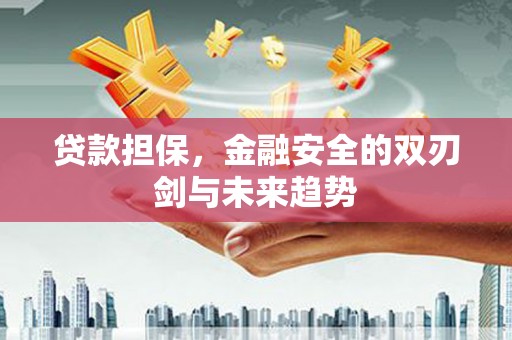 三穗贷款担保，金融安全的双刃剑与未来趋势