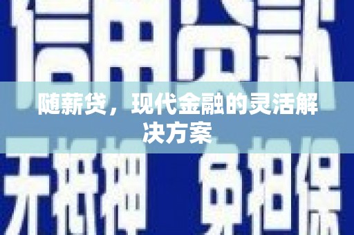 三穗随薪贷，现代金融的灵活解决方案