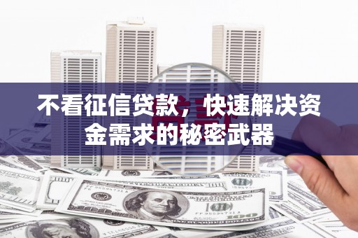 三穗不看征信贷款，快速解决资金需求的秘密武器