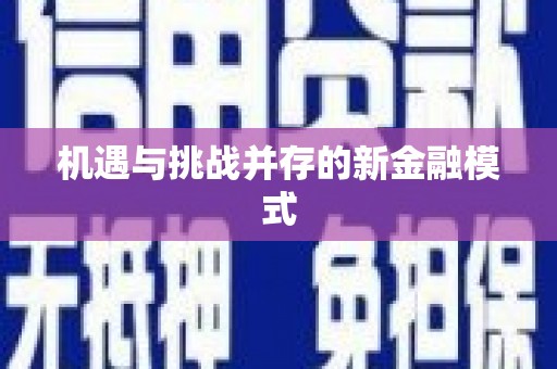 三穗机遇与挑战并存的新金融模式