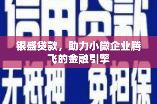 三穗银盛贷款，助力小微企业腾飞的金融引擎