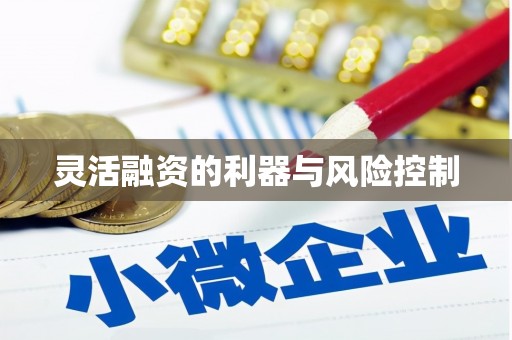 三穗灵活融资的利器与风险控制