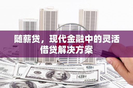 三穗随薪贷，现代金融中的灵活借贷解决方案