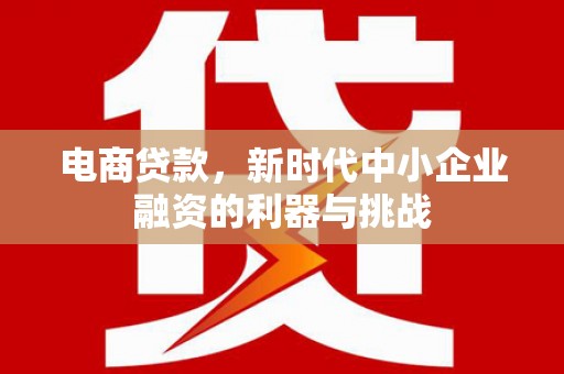 三穗电商贷款，新时代中小企业融资的利器与挑战
