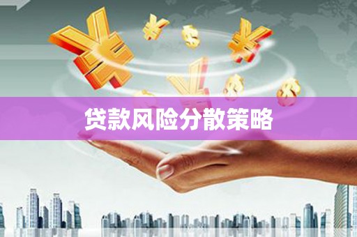 三穗贷款风险分散策略