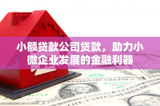 三穗小额贷款公司贷款，助力小微企业发展的金融利器