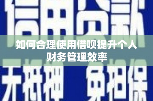 三穗如何合理使用借呗提升个人财务管理效率