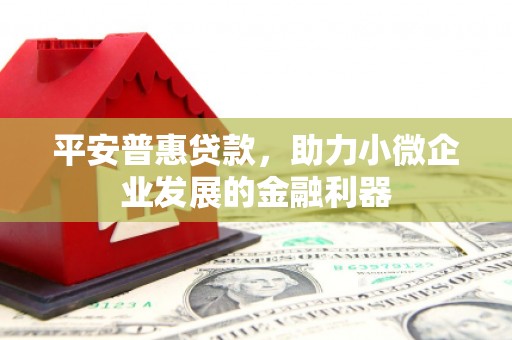 三穗平安普惠贷款，助力小微企业发展的金融利器