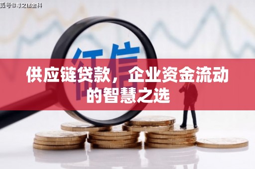 三穗供应链贷款，企业资金流动的智慧之选