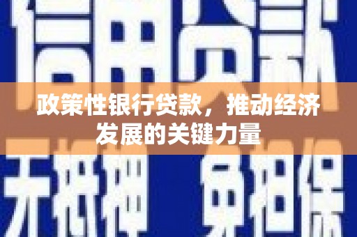三穗政策性银行贷款，推动经济发展的关键力量