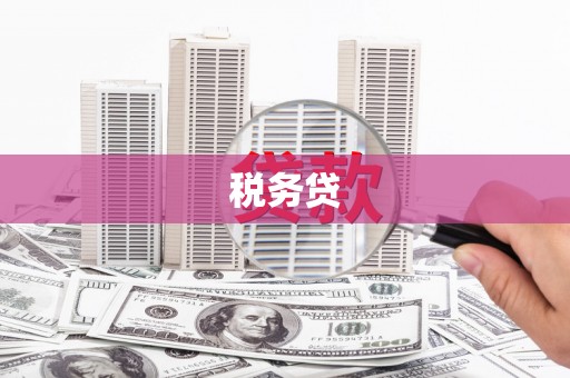 三穗税务贷