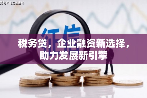 三穗税务贷，企业融资新选择，助力发展新引擎