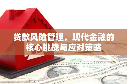 三穗贷款风险管理，现代金融的核心挑战与应对策略