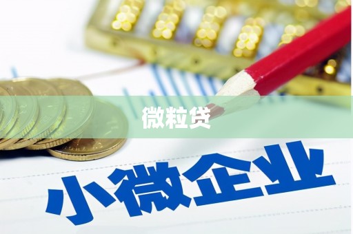 三穗微粒贷