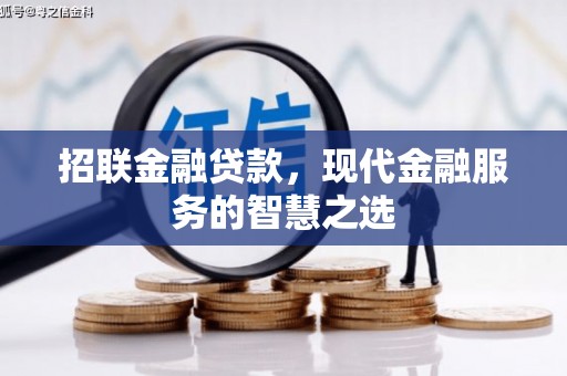 三穗招联金融贷款，现代金融服务的智慧之选
