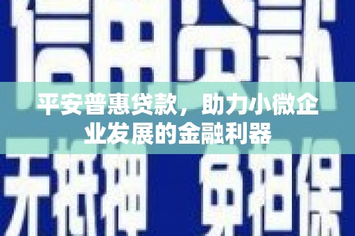三穗平安普惠贷款，助力小微企业发展的金融利器