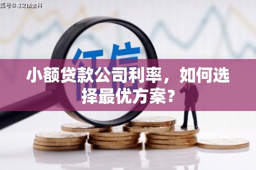 三穗小额贷款公司利率，如何选择最优方案？