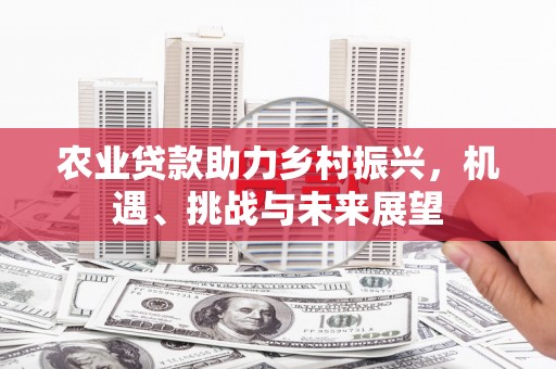 三穗农业贷款助力乡村振兴，机遇、挑战与未来展望