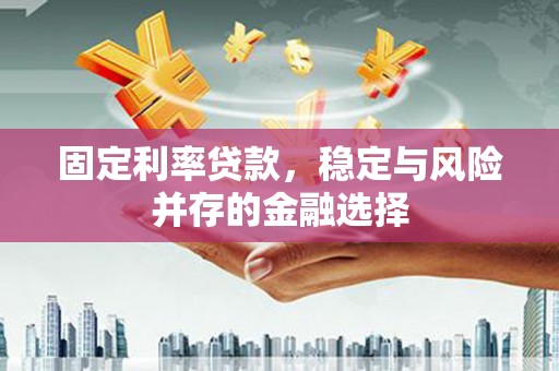 三穗固定利率贷款，稳定与风险并存的金融选择