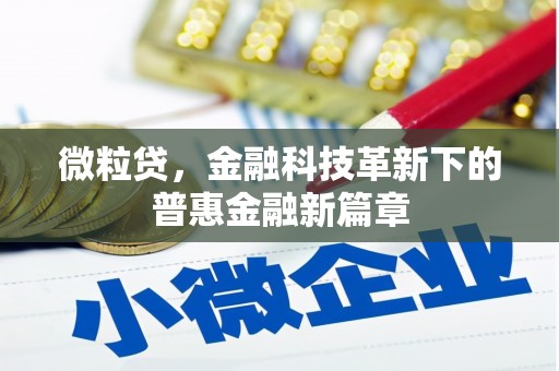 三穗微粒贷，金融科技革新下的普惠金融新篇章