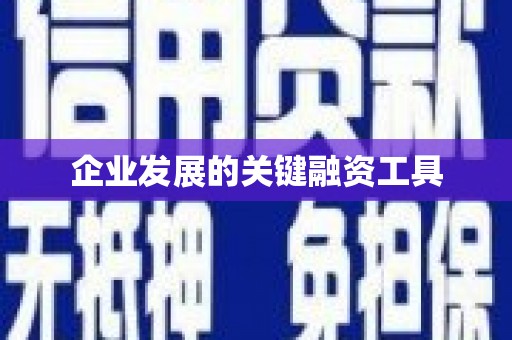 三穗企业发展的关键融资工具