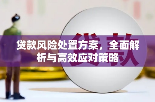 三穗贷款风险处置方案，全面解析与高效应对策略