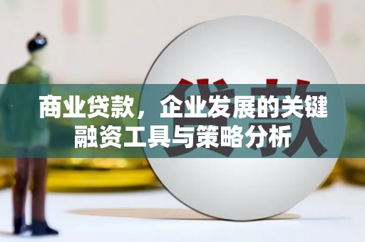 三穗商业贷款，企业发展的关键融资工具与策略分析