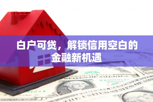 三穗白户可贷，解锁信用空白的金融新机遇