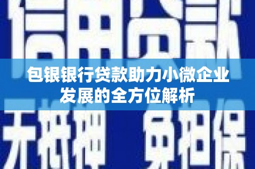 三穗包银银行贷款助力小微企业发展的全方位解析