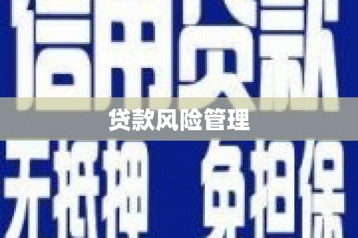 三穗贷款风险管理