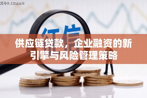 三穗供应链贷款，企业融资的新引擎与风险管理策略