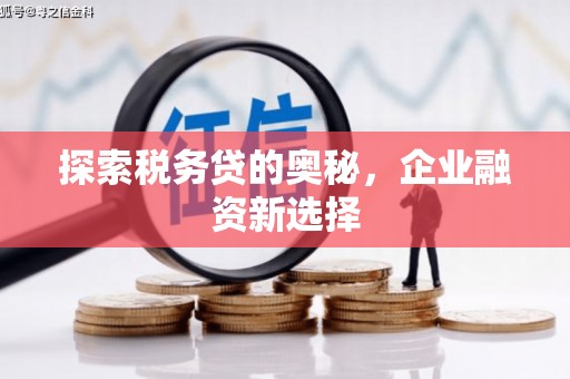 三穗探索税务贷的奥秘，企业融资新选择