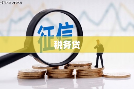 三穗税务贷