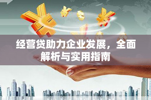 三穗经营贷助力企业发展，全面解析与实用指南