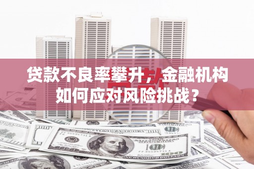 三穗贷款不良率攀升，金融机构如何应对风险挑战？