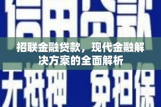 三穗招联金融贷款，现代金融解决方案的全面解析
