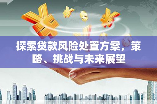 三穗探索贷款风险处置方案，策略、挑战与未来展望