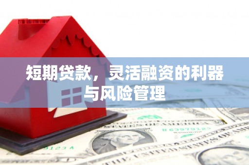 三穗短期贷款，灵活融资的利器与风险管理