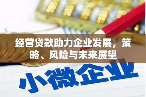 三穗经营贷款助力企业发展，策略、风险与未来展望